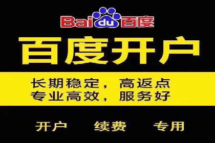 SEO与SEM优化案例：助力企业网站流量增长