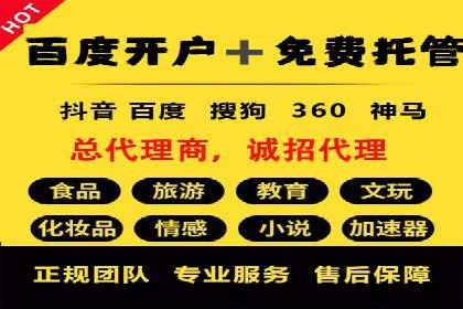 案例研究：百度竞价广告投放效果